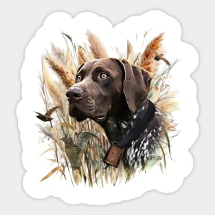 German Shorthaired Pointer Sticker